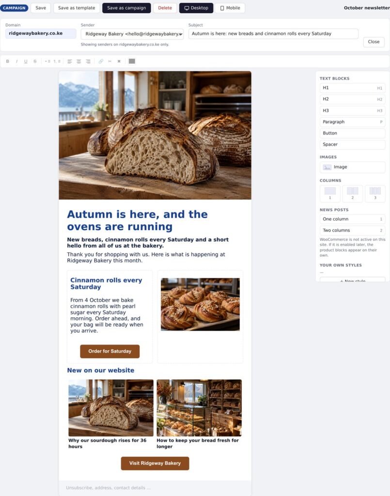 Newsletter built with blocks in Corporate Panel, with header image, text, columns, news posts and buttons